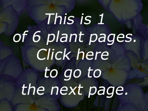 link to page 2