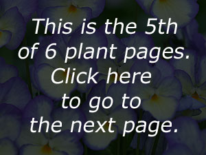 link to page 6