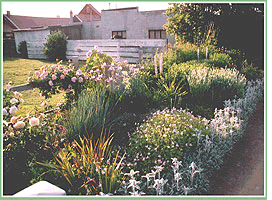 display of perennials along  a sidewalk on South Sequim Avenue
